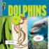 Dolphins