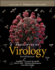 Principles of Virology, Volume 2 Pathogenesis and Control