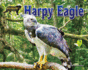 Harpy Eagle (Apex Predators of the Amazon Rain Forest)