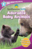 Smithsonian All-Star Readers Pre-Level 1: Adorable Baby Animals (Smithsonian Leveled Readers)