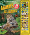 Discovery: Animals All Around (39-Button Sound Books)