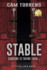 Stable: Someone is Taking Them...(a Tyler Zahn Novel)