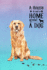 A House is Not a Home Without a Dog: Password Logbook in Disguise With Gorgeous Golden Retriever Cover (Discreet Password Keeper/Organizer)