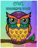 Owl Coloring Book