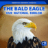 The Bald Eagle: Our National Emblem (America's Favorite Symbols)