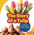 The Story of a Tulip Format: Paperback