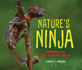 Nature's Ninja: Animals With Spectacular Skills