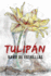 Tulipn: Ramo de estrellas