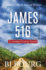 James 516: a London Carter Novel (London Carter Mystery Series)