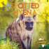 Spotted Hyena (African Animals)