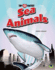 Top Ten: Fastest Sea Animals