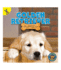 Rourke Educational Media Top Puppies: Golden Retriever Puppies-Children's Book About Golden Retrievers, Preschool-Grade 2 (16 Pgs) Reader