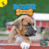 Top Puppies: Boxer Puppies? Rourke Nonfiction Reader, Grades Pk? 2