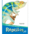 Reptiles / Reptiles