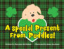 A Special Present From Puddles! : a St. Patrick's Day Story!