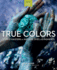 True Colors, 2nd Edition: World Masters of Natural Dyes and Pigments