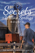 secrets of willow springs book 3 the amish of lawrence county