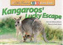 Kangaroos Lucky Escape