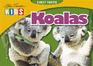 First Facts: Koalas (Steve Parish Kids S. )