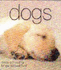 Dogs (Little Guides)