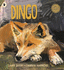 Dingo (Nature Storybooks)