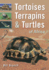 Tortoises, Terrapins & Turtles of Africa