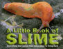 A Little Book of Slime