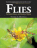 Flies: The Natural History & Diversity of Diptera