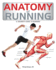 Anatomy of Running