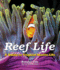 Reef Life: a Guide to Tropical Marine Life