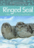 Animals Illustrated: Ringed Seal (Animals Illustrated, 9)