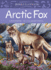 Animals Illustrated: Arctic Fox (Animals Illustrated, 10)