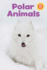 Polaranimalsbigbook(English) Format: Big Book