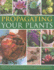 Propagating Your Plants (128-Page Paperback)