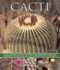 Cacti: an Ilustrated Gt Varieties Cultiva Format: Paperback