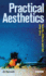 Practical Aesthetics: Events, Affect and Art After 9/11 (Radical Aesthetics-Radical Art)