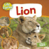 Lion (Fast Track: Life Cycles)