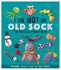 I Am Not an Old Sock-the Recycling Project Book: 10 Awesome Things to Make With Old Socks