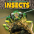 Insects Format: Tradepaperback