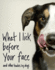 What I Lick Before Your Face...and Other Haikus By Dogs