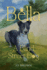 Bella, the Journey of a Blind Street Dog