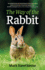 The Way of the Rabbit