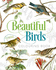 Beautiful Birds Colouring Book (Arcturus Classic Nature Colouring)