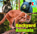 Backyard Animals (Eyediscover)