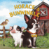 Horace & Bunwinkle (Horace & Bunwinkle Series, Book 1) (Horace & Bunwinkle, 1)