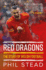 Red Dragons-the Story of Welsh Football: New Expanded Edition