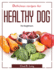 Delicious Recipes for Healthy Dog: for Beginners