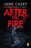 After the Fire: the Gripping Detective Crime Thriller From the Bestselling Author (Maeve Kerrigan Series, 6)