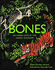 Bones: An inside look at the animal kingdom