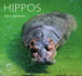 Hippos (Worldlife Library)